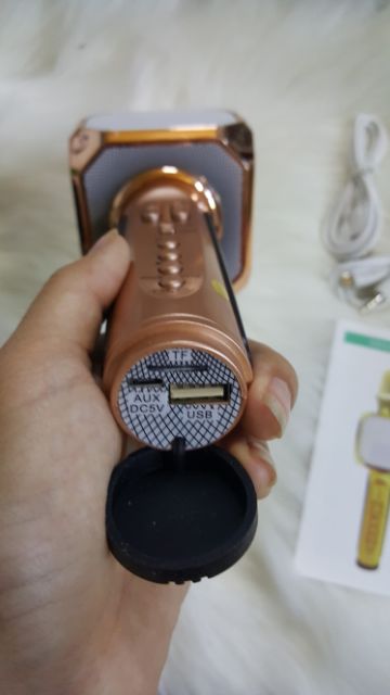 MIC HÁT KARAOKE SD-10