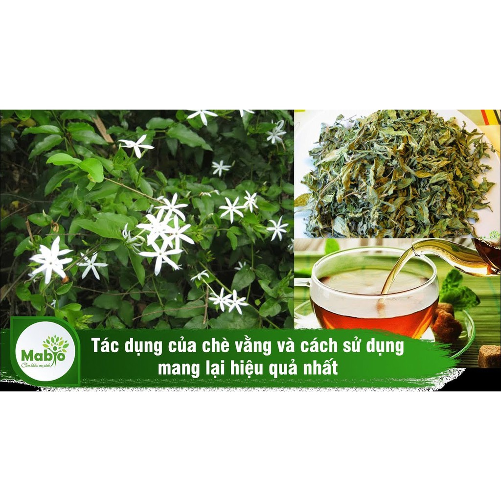 Chè Vằng - Trà vằng Giảm cân , lợi sữa. Thảo dược “trời cho” đối với phụ nữ sau sinh của " Gia Lương tích thiện đường"