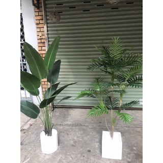 Cây cau giả 1,5m
