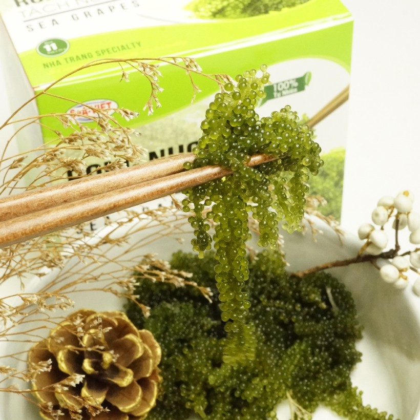 Rong nho tách nước Sea Việt các loại