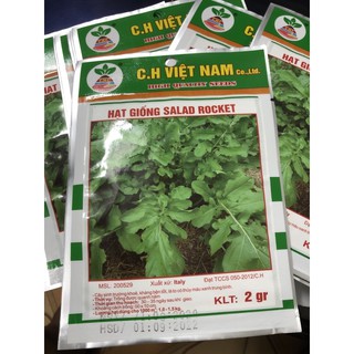 Hạt giống Rau Salad Rocket 🌱