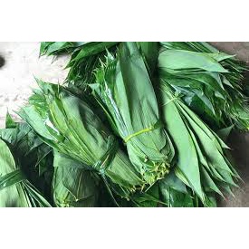 20 Lá tre tươi to/vừa dùng gói bánh, trang trí