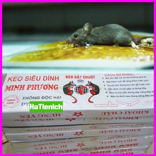 5 MIẾNG KEO DÁN CHUỘT❣️ FREESHIP ❣️  KEO DÍNH CHUỘT SIÊU DÍNH BẪY CHUỘT