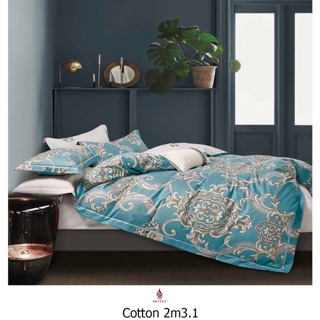 Bộ drap hàn quốc 100% cotton