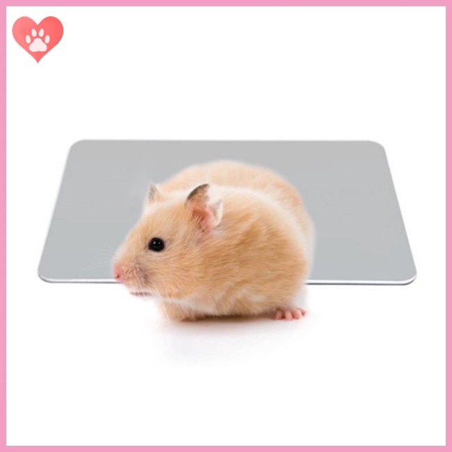 Thảm làm mát mùa hè cho chuột hamster