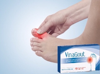 Viên uống Vina Gout