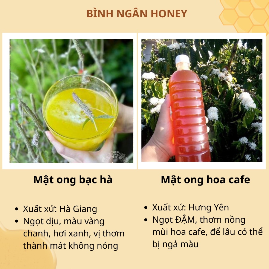 Mật Ong Hoa Cafe Nguyên Chất, Mật Ong Hoa Bạc Hà Nguyên Chất Bình Ngân Honey 500ml, 1L