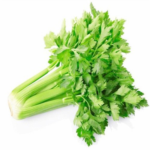 Hạt giống cần tây mỹ gói 0.2g khả năng nảy mầm cao