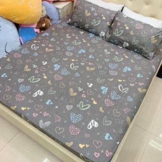Ga gối chun cotton poly (3 món)