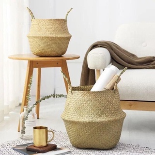 Giỏ đựng cây giỏ cói đựng cây