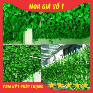 Dây leo, lá nho, trầu bà, thường xuân, rau má, ... dây leo giả trang trí tường nhà, thảm cỏ nhân tạo, văn phòng, sự kiện