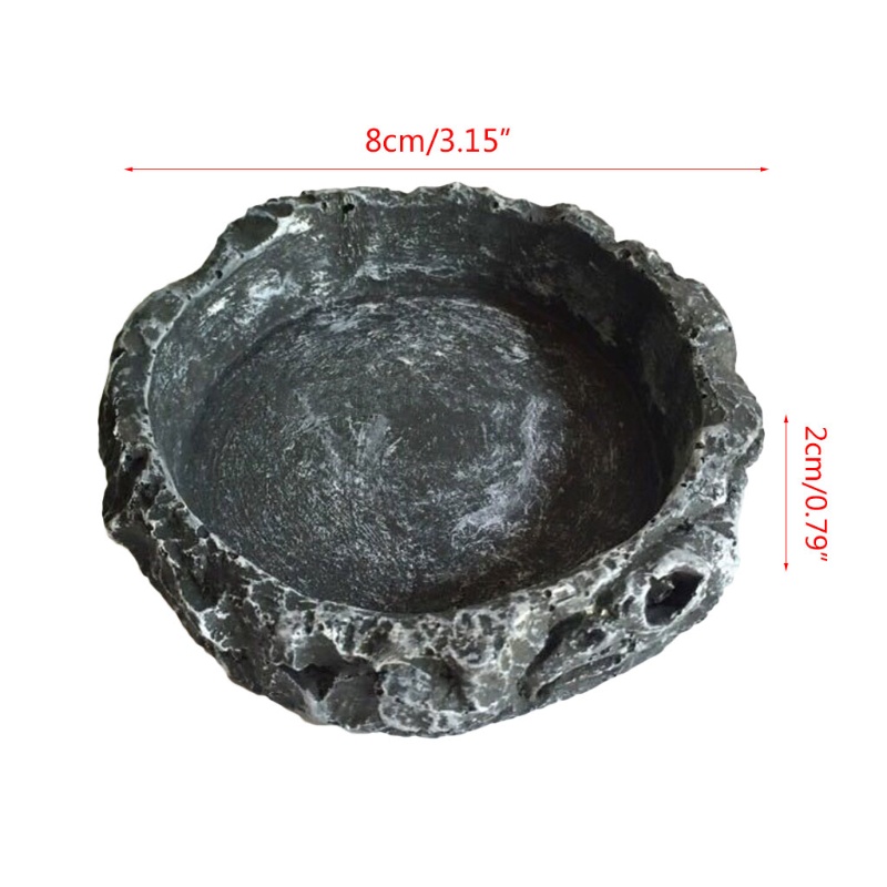 Aoto Bát Đựng Thức Ăn Cho Bò Sát Thằn Lằn Bằng Nhựa Resin