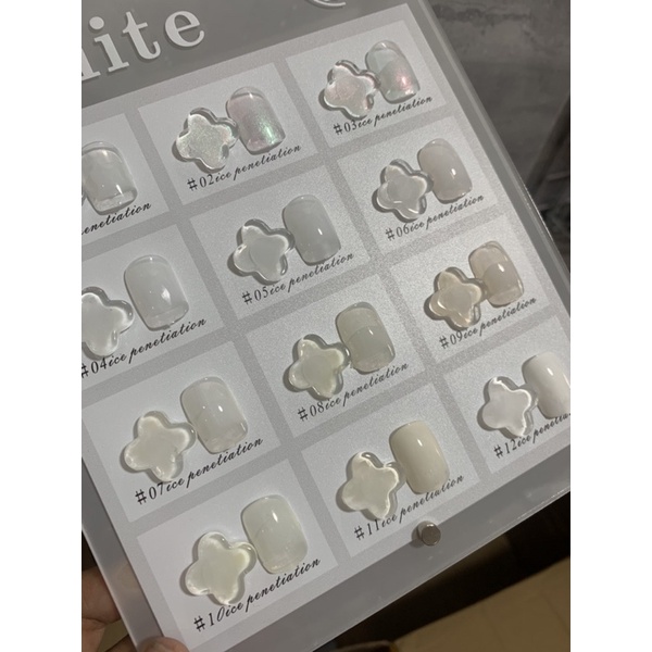 Set Sơn thạch trắng 12 màu
