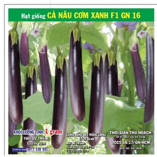 [KM ĐỒNG GIÁ] HẠT GIỐNG CỦ QUẢ