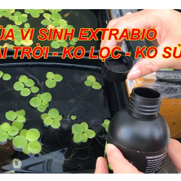 Vi Sinh Làm Trong Nước Bể Cá Cảnh Extra Bio chai 250ml- Vi sinh cao cấp của Mỹ