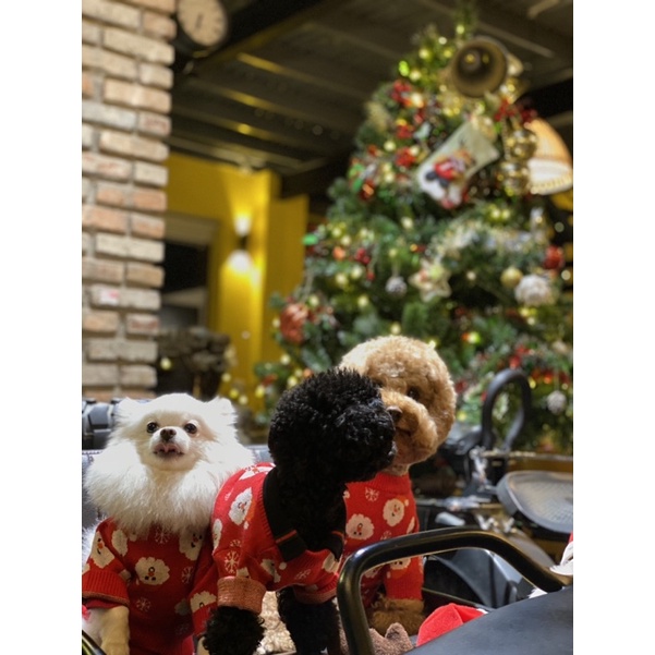 ÁO LEN NOEL CHO THÚ CƯNG