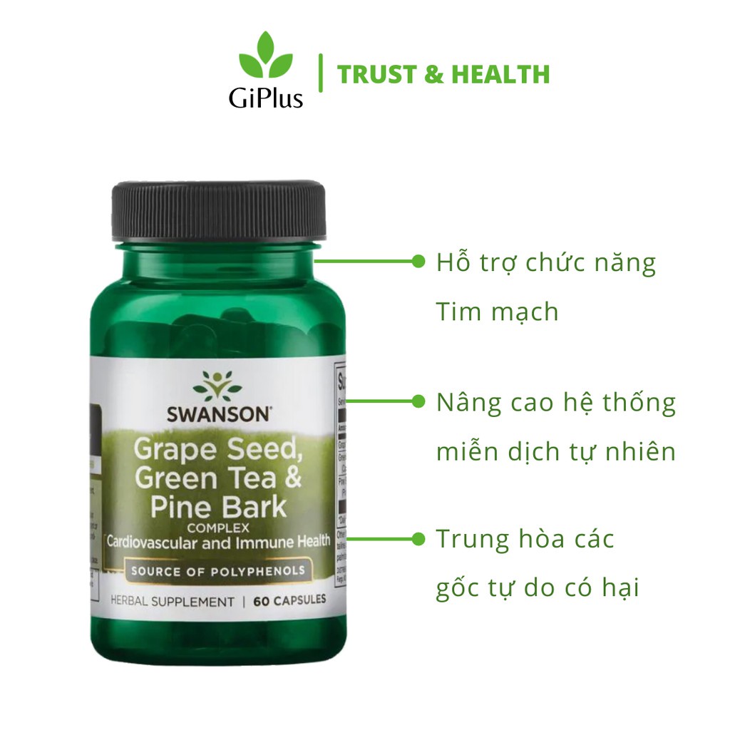 Viên Uống Hỗ Trợ Tim Mạch, Hệ Miễn Dịch Swanson Grape Seed, Green Tea &amp; Pine Bark (60 Viên/Lọ)