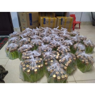 Combo 1 Chai dầu tràm Huế chính hãng 100ml chai thủy tinh