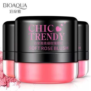 Phấn má hồng BioAqua Chico Trendy