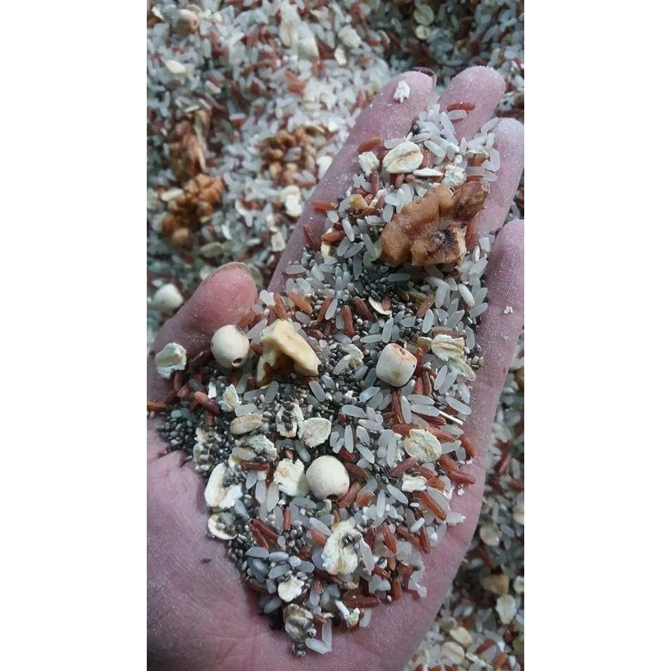 CHÁO VỠ DÀNH CHO TRẺ EM (MẸ BẮP) | BigBuy360 - bigbuy360.vn