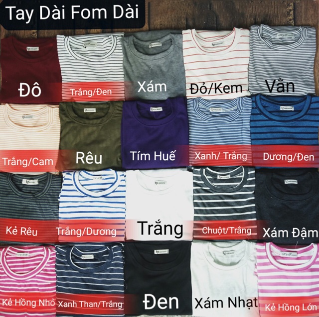 Áo Tay Dài