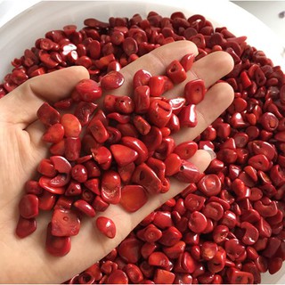 50g Đá San Hô Đỏ Tự Nhiên