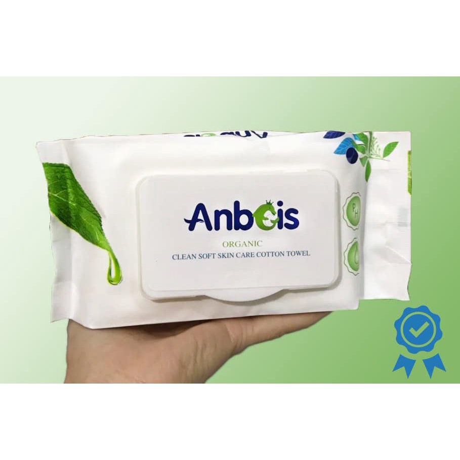 Khăn ướt y tế ANBEIS kháng khuẩn, không mùi  - 100 tờ