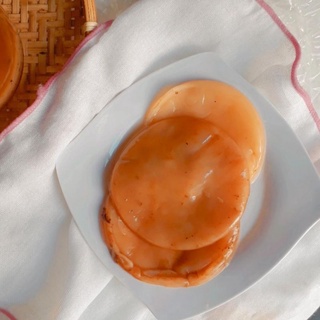 Con giống Scoby nuôi Kombucha