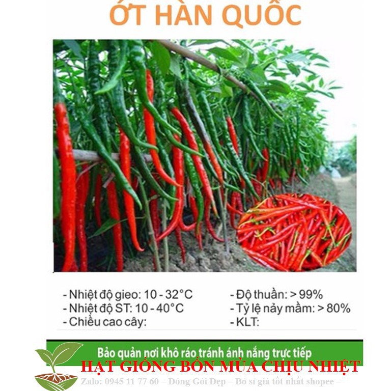 Hạt giông ớt dài hàn quốc 30 hạt ĐẾN MÙA TRỒNG TẾT luckyseed hạt siêu rẻ