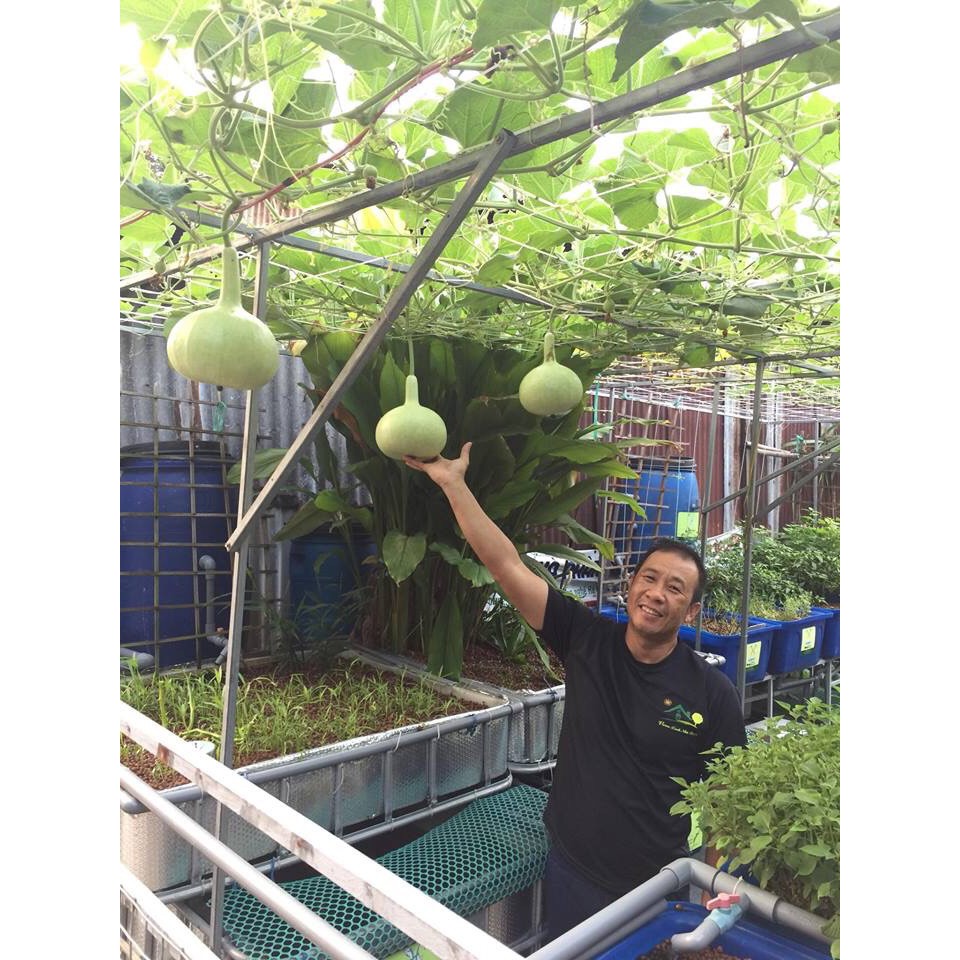 Túi 1 lít - đất sét nung Thailand giá thể siêu nhe hoàn toàn thiên nhiên đạt chuẩn châu âu