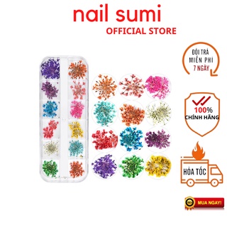 Hoa khô nail trang trí móng , hoa khô chùm 12 màu