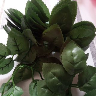 Combo lá hoa hồng giả