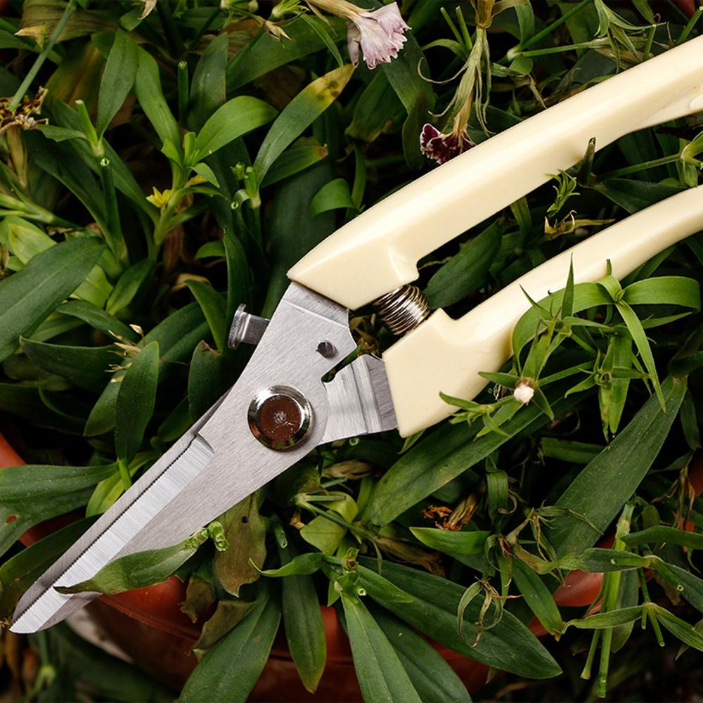 IVORY Kéo Cắt Tỉa Cành Làm Vườn Chuyên Dụng