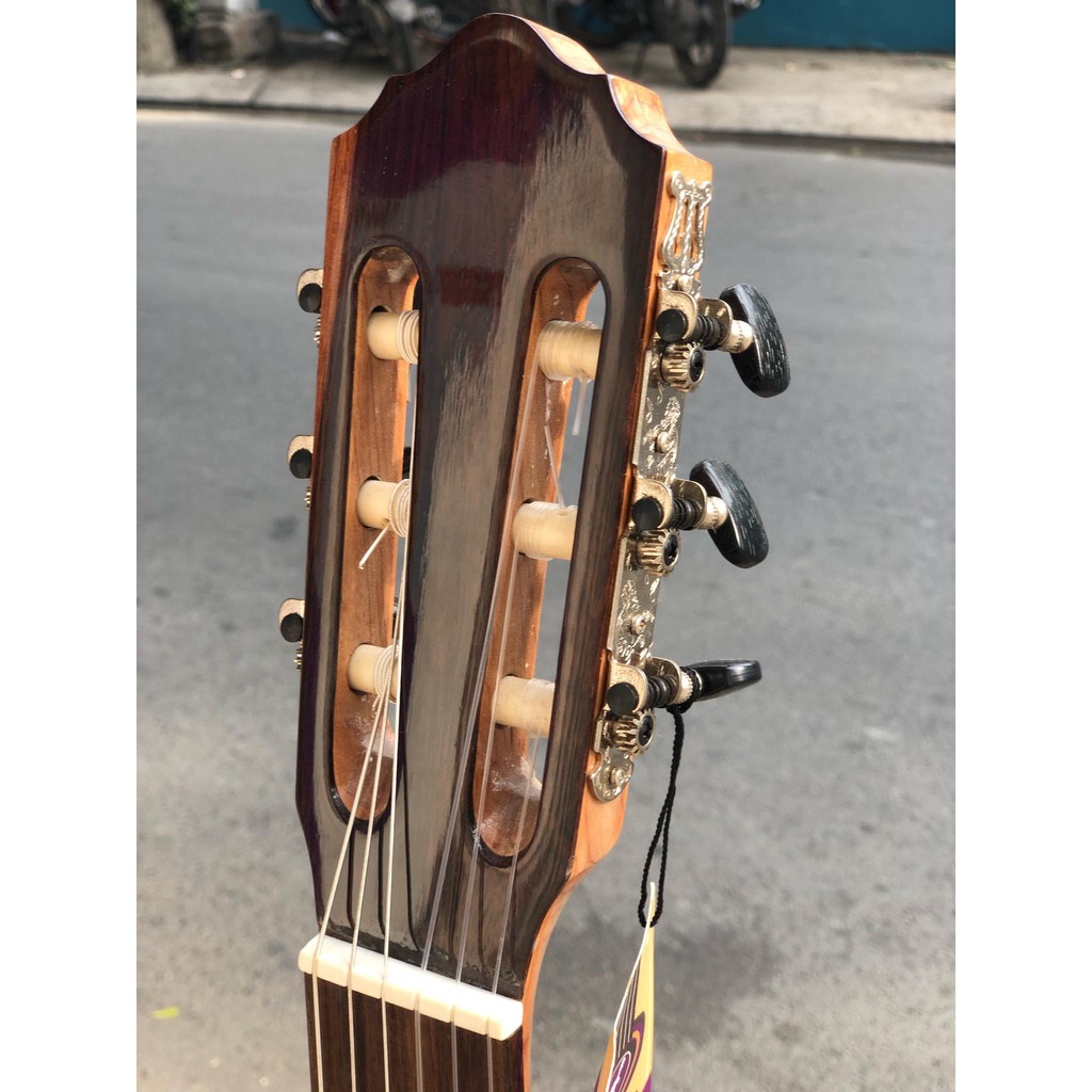 Guitar classic cao cấp gỗ điệp SV-c5