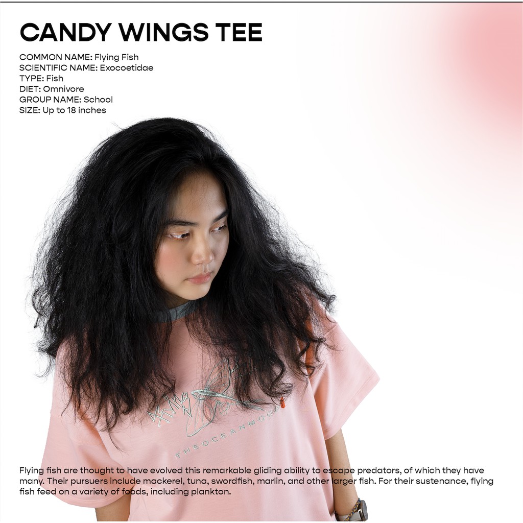 Áo thun Candy Wings màu hồng ngắn tay Kiem.lamot thêu cá nhỏ | BigBuy360 - bigbuy360.vn