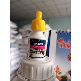 UV-NYSTA chai 10ml cho gà đá (giá rẻ)