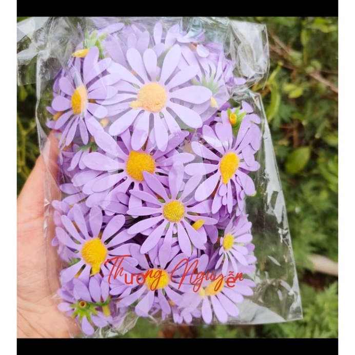 trang trí bánh kem sinh nhật [FREESHIP❤️] sét 100 bông hoa cúc đủ size 3-4-5cm