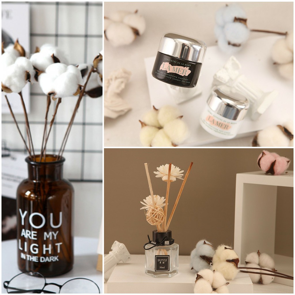 CÀNH BÔNG GÒN trang trí chụp ảnh siêu xinh/ BÔNG COTTON TRẮNG TINH decor bình lọ, hoa, trang trí hanmade