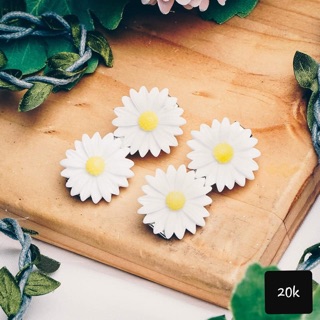 Kẹp tóc cúc họa mi 2 bông