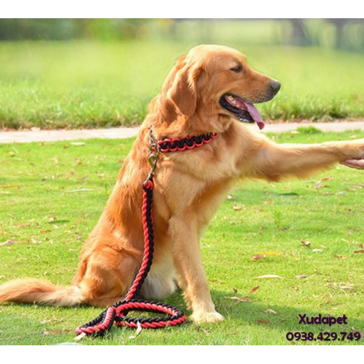 Dây Kéo Bện Tám Sợi Dắt Chó Siêu Chắc (Màu Ngẫu Nhiên) giúp dắt chó đi dạo – Xudapet - SP005176