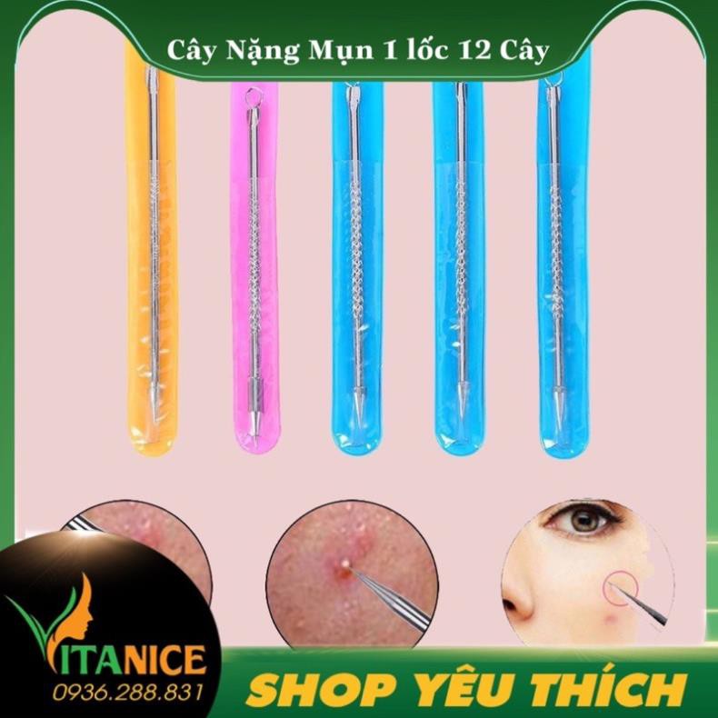 Cây lễ mụn 12 cây 1 Túi