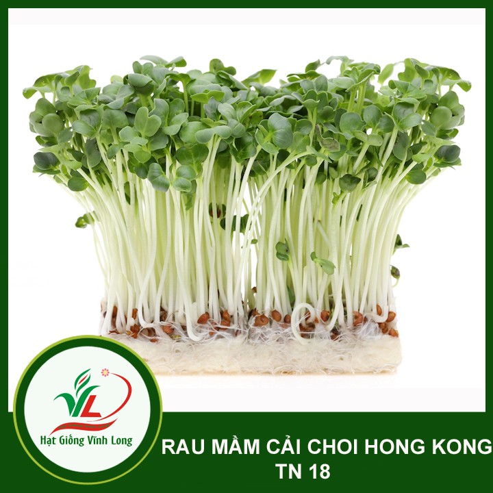 Hạt giống rau Mầm cải choi Hong Kong TN 18 - 20g