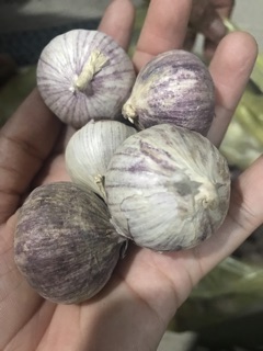 TỎI CÔ ĐƠN LOẠI TRUNG - COMBO 2kg