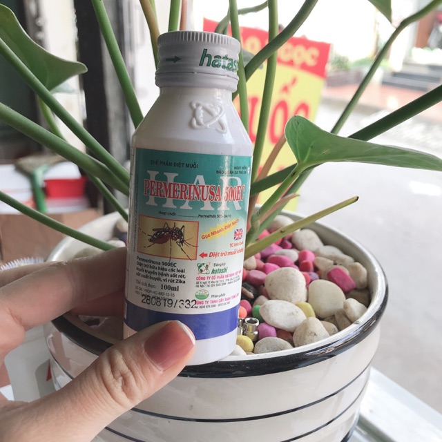 Thuốc diệt muỗi 100ml