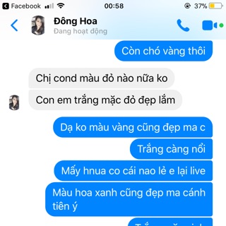 Khách đông hoa