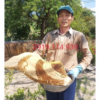 Mật ong rừng u minh hạ nguyên chất 100%