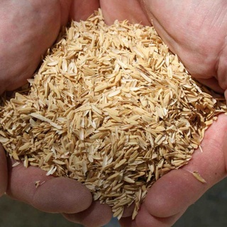 1kg vỏ trấu sống..