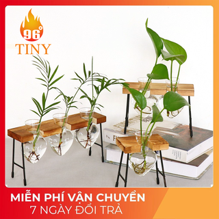 Lọ thủy tinh hình trái tim cắm hoa, trồng cây thủy sinh có khung gỗ và chân đế kim loại