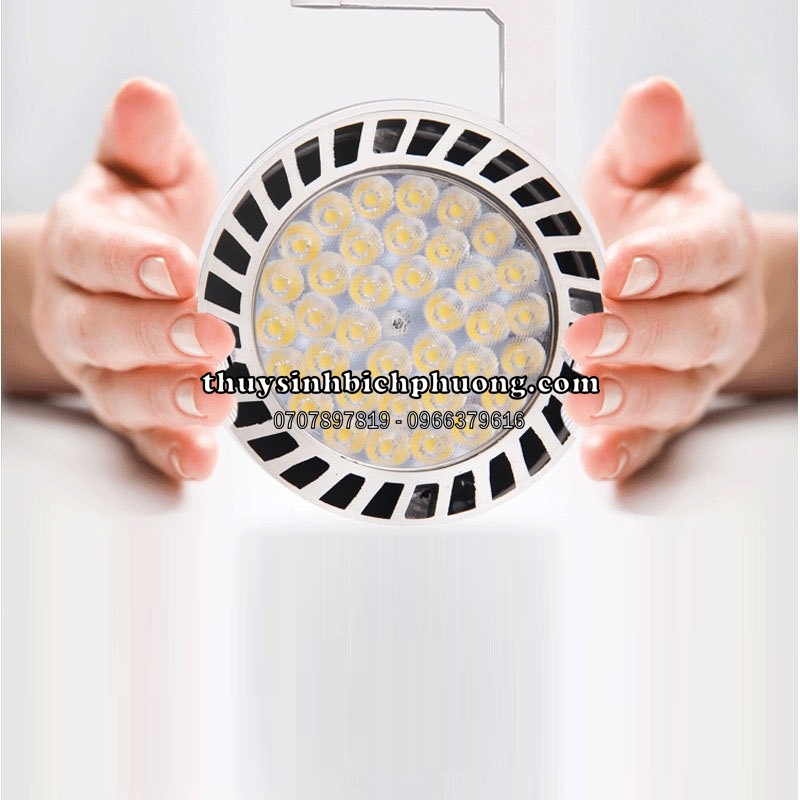 ĐÈN LED RỌI BÁN CẠN 35W 45W THANH RAY - CHUYÊN DÙNG TRỒNG CÂY BÁN CẠN THỦY SINH TRANG TRÍ TIỂU CẢNH