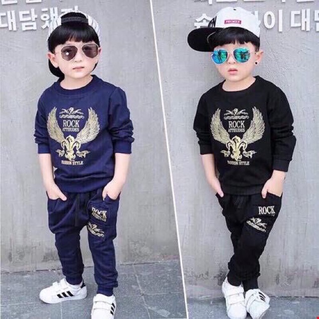 Bộ đại bàng